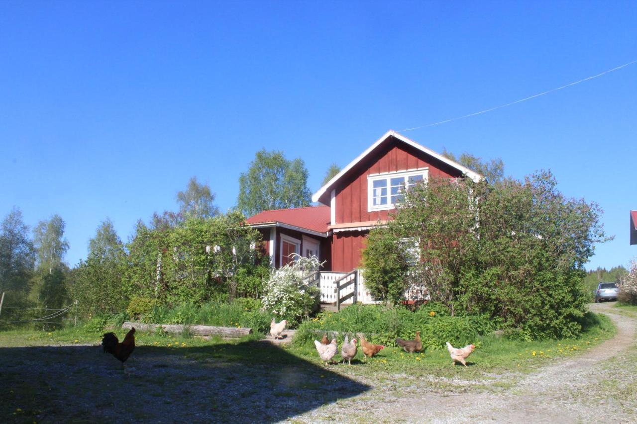 Boende Naera Romme Alpin Och Andra Friluftsaktiviteter I Dalarna Smedjebacken Zewnętrze zdjęcie